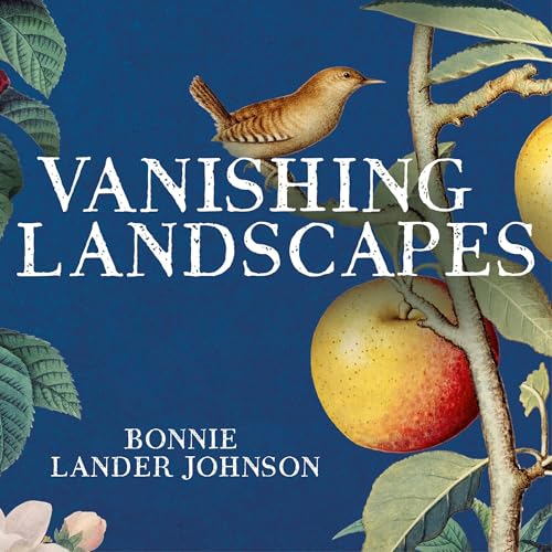 Cover of Vanishing Landscapes