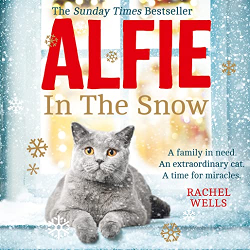 Cover of Alfie in the Snow