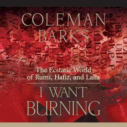 Cover of I Want Burning