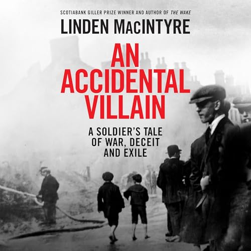 Cover of An Accidental Villain