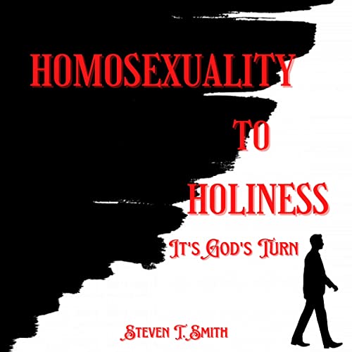 Cover of Homosexuality to Holiness: It's God's Turn