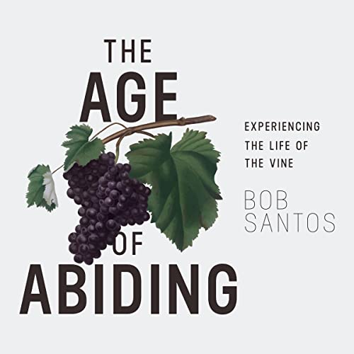 Cover of The Age of Abiding