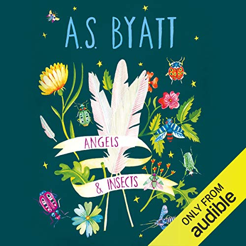 Cover of Angels and Insects
