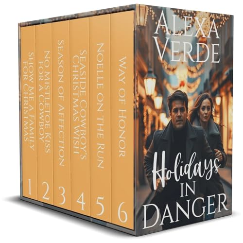 Cover of Holidays in Danger