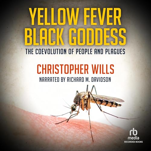 Cover of Yellow Fever Black Goddess