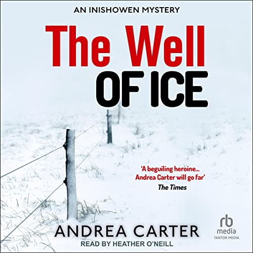 Cover of The Well of Ice